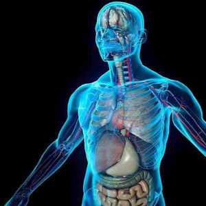 Meet your Posher, Parsa